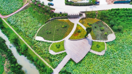 简阳荷桥：从贫困村到明星村