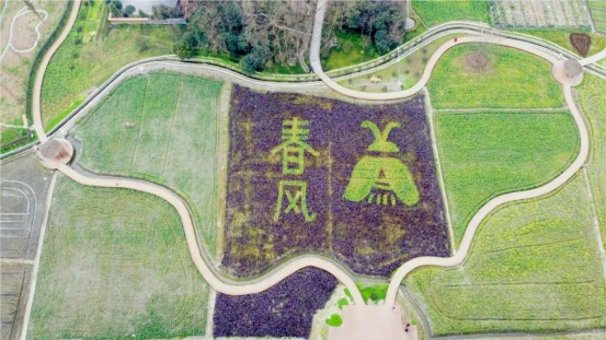 沃野良田，都江堰精华灌区五彩田园春意盎然！