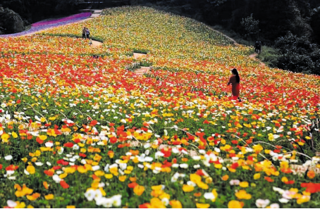 石象湖景区限流开放