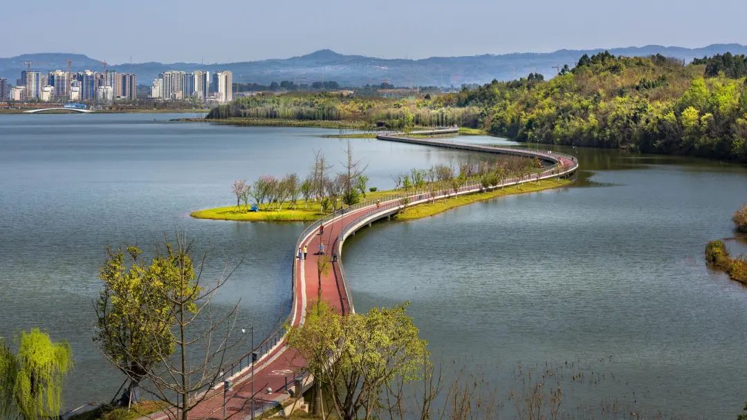 像成都人那样生活！全会“新词”你get到没？