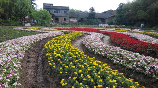 成都农高园践行乡村振兴战略、建设美丽宜居公