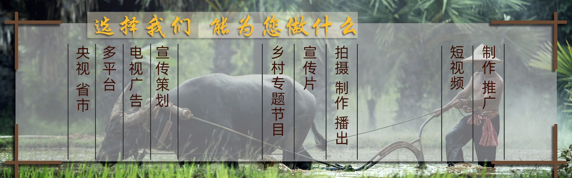 选择我们，能为您做什么