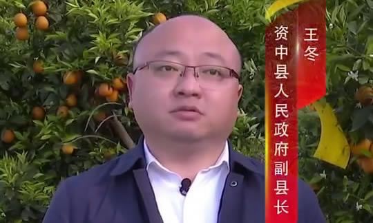 <b>资中血橙</b>